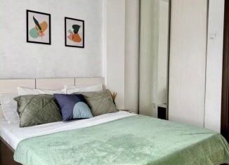 Сдам в аренду двухкомнатную квартиру, 46 м2, Воронеж, улица Моисеева, 47, Ленинский район