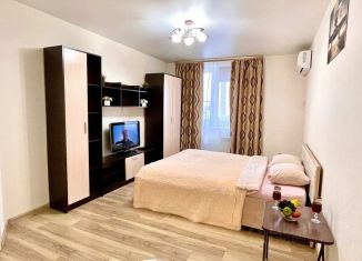 Сдается 1-комнатная квартира, 48 м2, Самара, улица Дыбенко, 27А, метро Спортивная