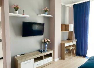 Сдается в аренду 1-комнатная квартира, 35 м2, Краснодарский край, Молодогвардейская улица, 2И