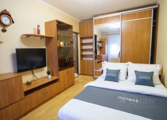 1-комнатная квартира в аренду, 52 м2, Тульская область, улица Кирова, 10