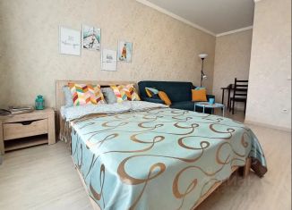 Аренда 1-комнатной квартиры, 35 м2, Краснодарский край, улица Героев-Разведчиков, 8к3