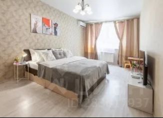 Сдаю в аренду однокомнатную квартиру, 47 м2, Самара, Ленинская улица, 217, метро Российская