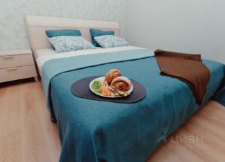 Сдается в аренду 1-комнатная квартира, 30 м2, Самара, Ярмарочная улица, 3, метро Алабинская