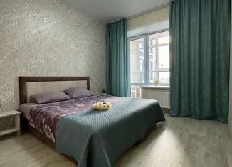 Сдача в аренду 2-комнатной квартиры, 45 м2, Барнаул, улица Профинтерна, 28А