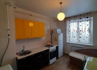 Аренда 1-ком. квартиры, 37 м2, Челябинская область, улица Заря, 29А