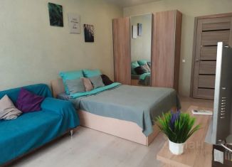 Сдается в аренду 1-комнатная квартира, 42 м2, Самара, Московское шоссе, 29, метро Спортивная