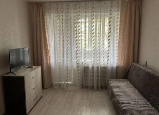 Сдам в аренду однокомнатную квартиру, 30 м2, Ярославль, проезд Доброхотова, 14, Заволжский район