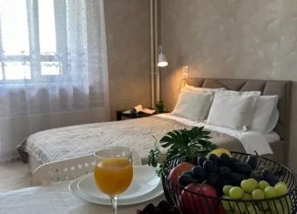 Сдам в аренду квартиру студию, 30 м2, Челябинск, улица Марченко, 30