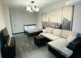 Сдается в аренду 1-комнатная квартира, 45 м2, Самара, Солнечная улица, 36, метро Российская