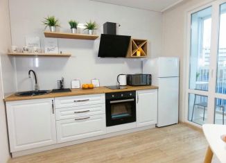 Сдаю 1-комнатную квартиру, 40 м2, Воронеж, улица Димитрова, 51А