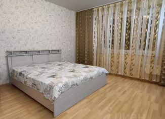 Сдаю в аренду 2-ком. квартиру, 73 м2, Челябинская область, улица Братьев Кашириных, 87А