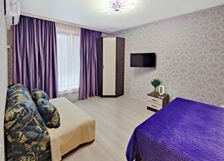 1-ком. квартира в аренду, 30.5 м2, Самарская область, микрорайон Крутые Ключи, 38