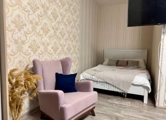 Сдача в аренду квартиры студии, 31 м2, Тюмень, улица Дмитрия Менделеева, 2, Восточный округ