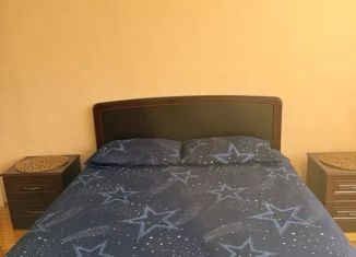 Однокомнатная квартира в аренду, 37 м2, Воронежская область, Богучар, 4