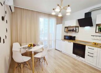 Сдам в аренду 1-ком. квартиру, 40 м2, Воронеж, улица Димитрова, 51А, Железнодорожный район