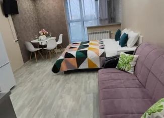 Сдам в аренду квартиру студию, 30 м2, Новосибирская область, улица Карла Маркса, 36