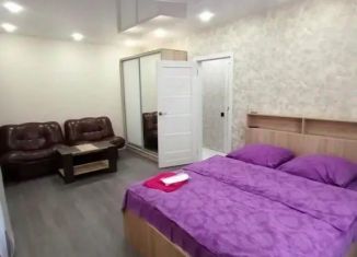 Сдается в аренду 1-ком. квартира, 40 м2, Красноярский край, улица Бегичева, 23