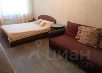 Сдача в аренду однокомнатной квартиры, 41 м2, Самара, Силовая улица, 6, метро Российская