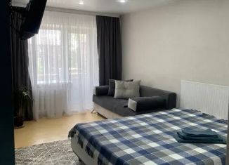 Сдам в аренду 1-комнатную квартиру, 32 м2, Иркутская область, микрорайон Угольщиков, 7