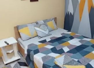 Сдача в аренду 1-комнатной квартиры, 25 м2, Воронежская область, Ленинский проспект, 8Д