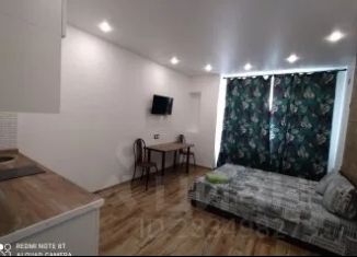 Сдаю 1-комнатную квартиру, 25 м2, Воронеж, улица Моисеева, 9Б