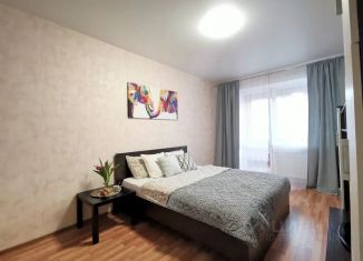Сдается в аренду 1-комнатная квартира, 51 м2, Самара, улица Советской Армии, 238А, метро Спортивная