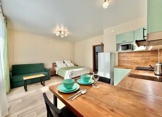 Сдается в аренду квартира студия, 30 м2, Татарстан, проезд Созидателей, 9