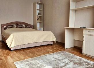 Сдается в аренду однокомнатная квартира, 40 м2, Воронеж, улица Карла Маркса, 116А