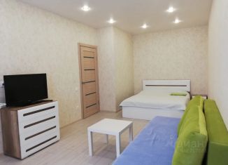 Аренда однокомнатной квартиры, 38 м2, Самара, улица Мечникова, 3, Железнодорожный район