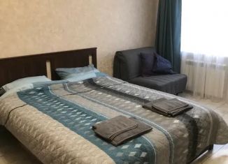 Сдам в аренду 1-комнатную квартиру, 45 м2, Самара, 6-я просека, 149