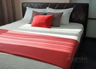 Сдаю в аренду 1-комнатную квартиру, 48 м2, Воронеж, улица Ворошилова, 1/3, Ленинский район