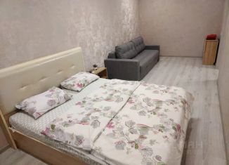 Сдача в аренду двухкомнатной квартиры, 60 м2, Казань, улица Братьев Батталовых, 20Ак2