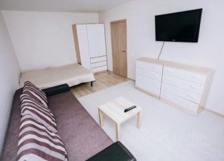Сдаю в аренду 1-ком. квартиру, 45 м2, Воронеж, улица Димитрова, 51/9, Железнодорожный район