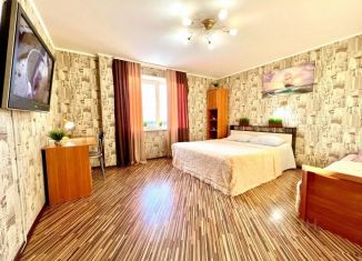 Сдаю 1-комнатную квартиру, 71 м2, Самара, улица Карбышева, 61Б, метро Спортивная