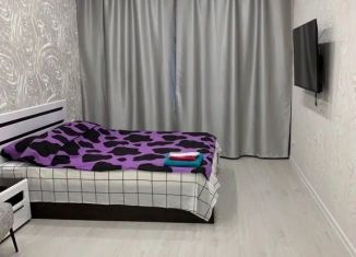 Аренда 1-комнатной квартиры, 45 м2, Красноярский край, улица Богдана Хмельницкого, 10