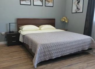 Сдам в аренду квартиру студию, 35 м2, Самара, 5-я просека, 131, метро Российская