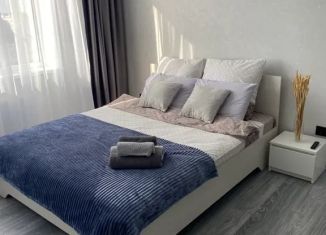 1-ком. квартира в аренду, 42 м2, Ростовская область, улица Чехова, 375