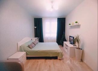 Сдача в аренду 1-ком. квартиры, 37 м2, Пермь, улица Шмидта, 56, Мотовилихинский район