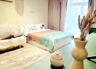 Сдаю в аренду 1-ком. квартиру, 35 м2, Воронежская область, площадь Ленина, 5