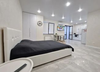 Сдается в аренду квартира студия, 45 м2, Самара, Самарская улица, 263, метро Российская