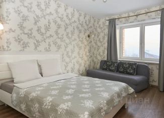 Аренда однокомнатной квартиры, 38 м2, Иркутск, Советская улица, 35, Октябрьский округ