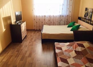 Сдается однокомнатная квартира, 47 м2, Самара, Печёрская улица, 29, метро Спортивная