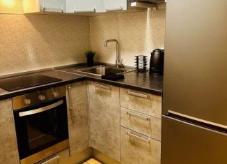 Сдам 1-комнатную квартиру, 25 м2, Ленинградская область, улица Сторожевой Башни, 9