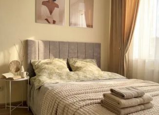 Сдается в аренду квартира студия, 30 м2, Тюмень, Тихий проезд, 6, Центральный округ