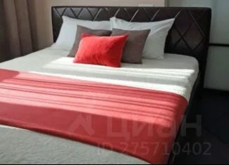 Сдается 1-комнатная квартира, 51 м2, Воронеж, улица Ворошилова, 1/3