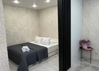 Сдается квартира студия, 30 м2, Ярославская область, Спасская улица, 2