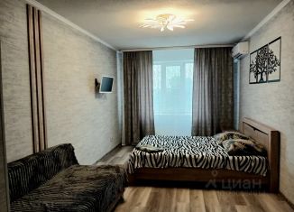 Сдается в аренду 1-ком. квартира, 42 м2, Новосибирская область, Микрорайон, 49А