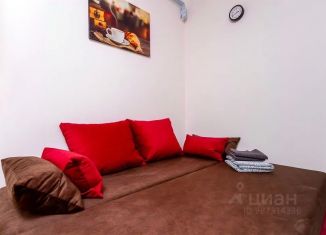 Сдам в аренду однокомнатную квартиру, 15 м2, Новосибирск, проспект Карла Маркса, 7, метро Студенческая