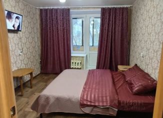 Сдача в аренду 2-ком. квартиры, 46 м2, Челябинск, улица Героев Танкограда, 65, Тракторозаводский район
