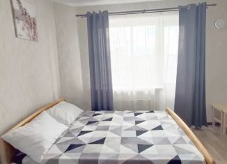 Сдается в аренду однокомнатная квартира, 40 м2, Новосибирск, улица Титова, 252/2, Ленинский район